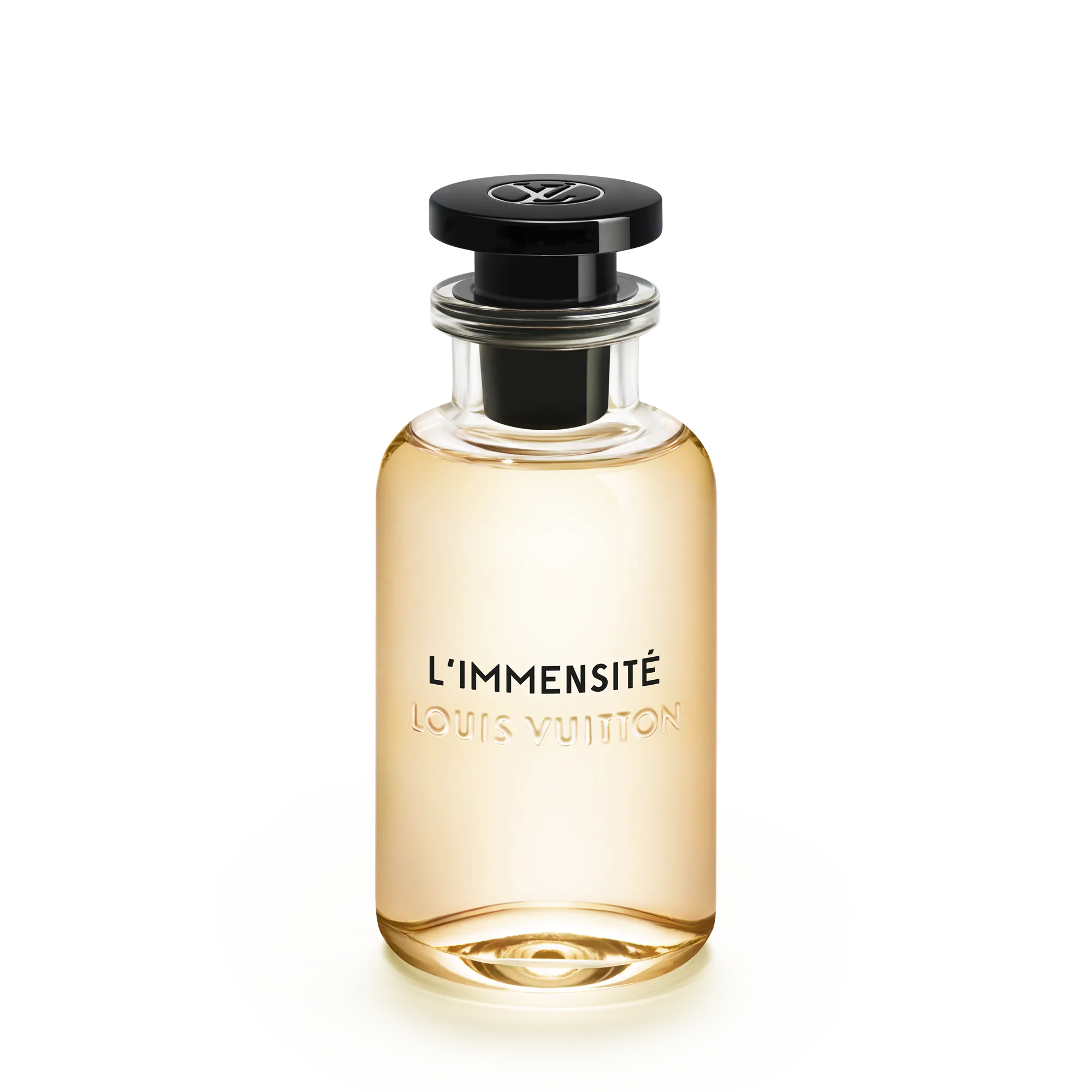 L'Immensité