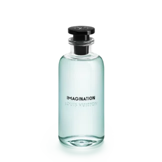 Imagination